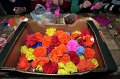 003  DSC_1646